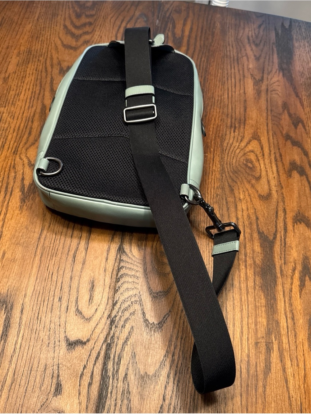 Coach Graham Crossbody Beige Light Blue Crossbody Bag Logo Pattern - Picture 4 of 16